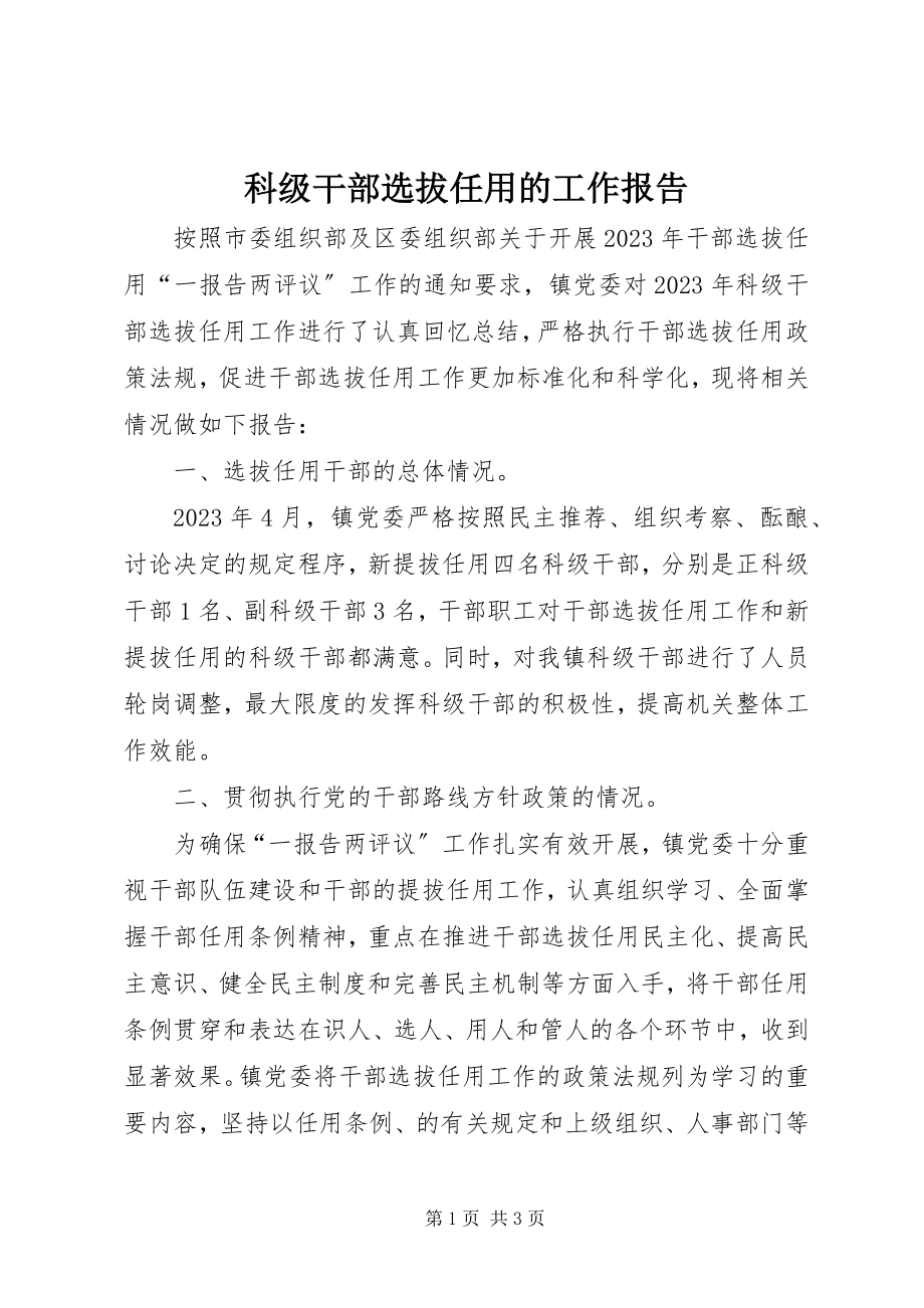 2023年科级干部选拔任用的工作报告.docx_第1页