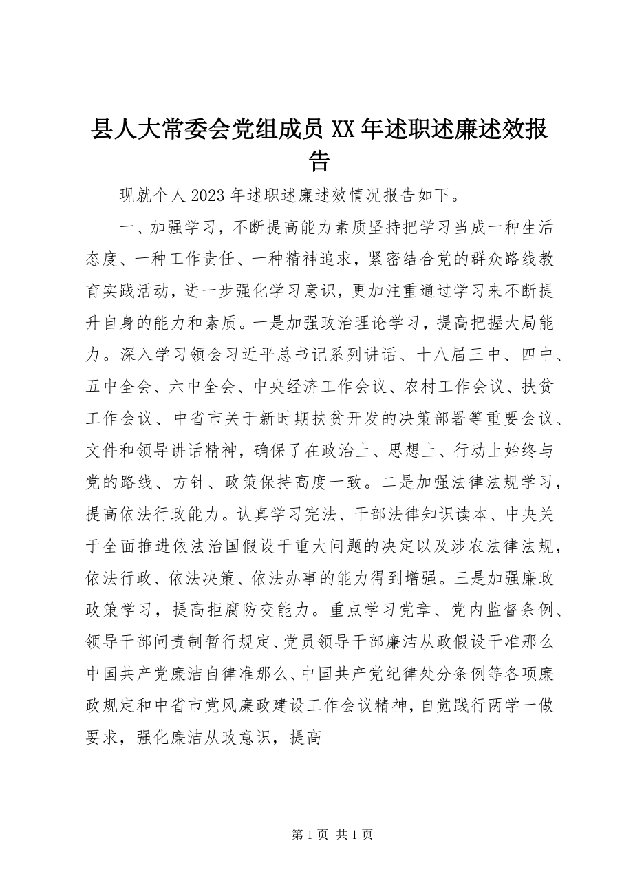 2023年县人大常委会党组成员述职述廉述效报告.docx_第1页