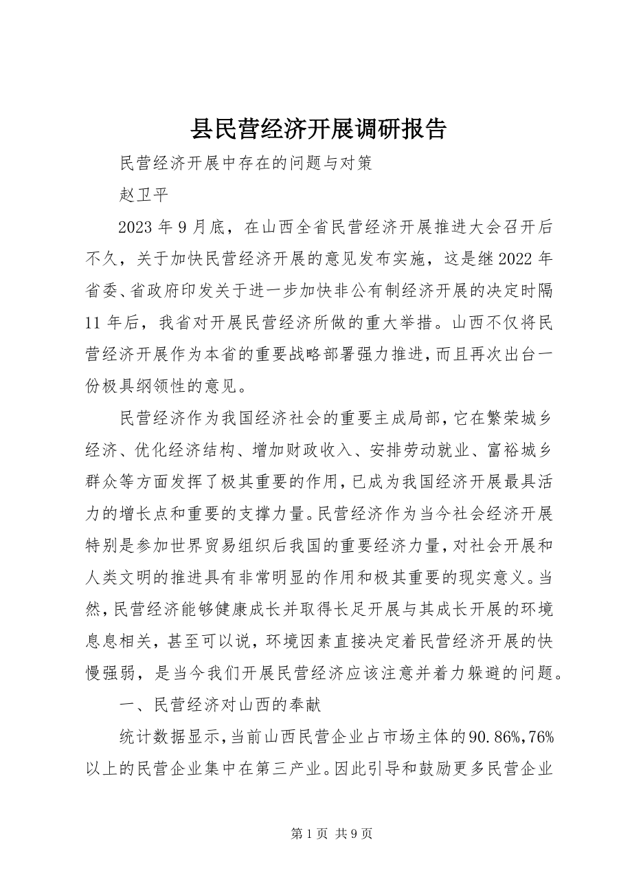 2023年县民营经济发展调研报告.docx_第1页