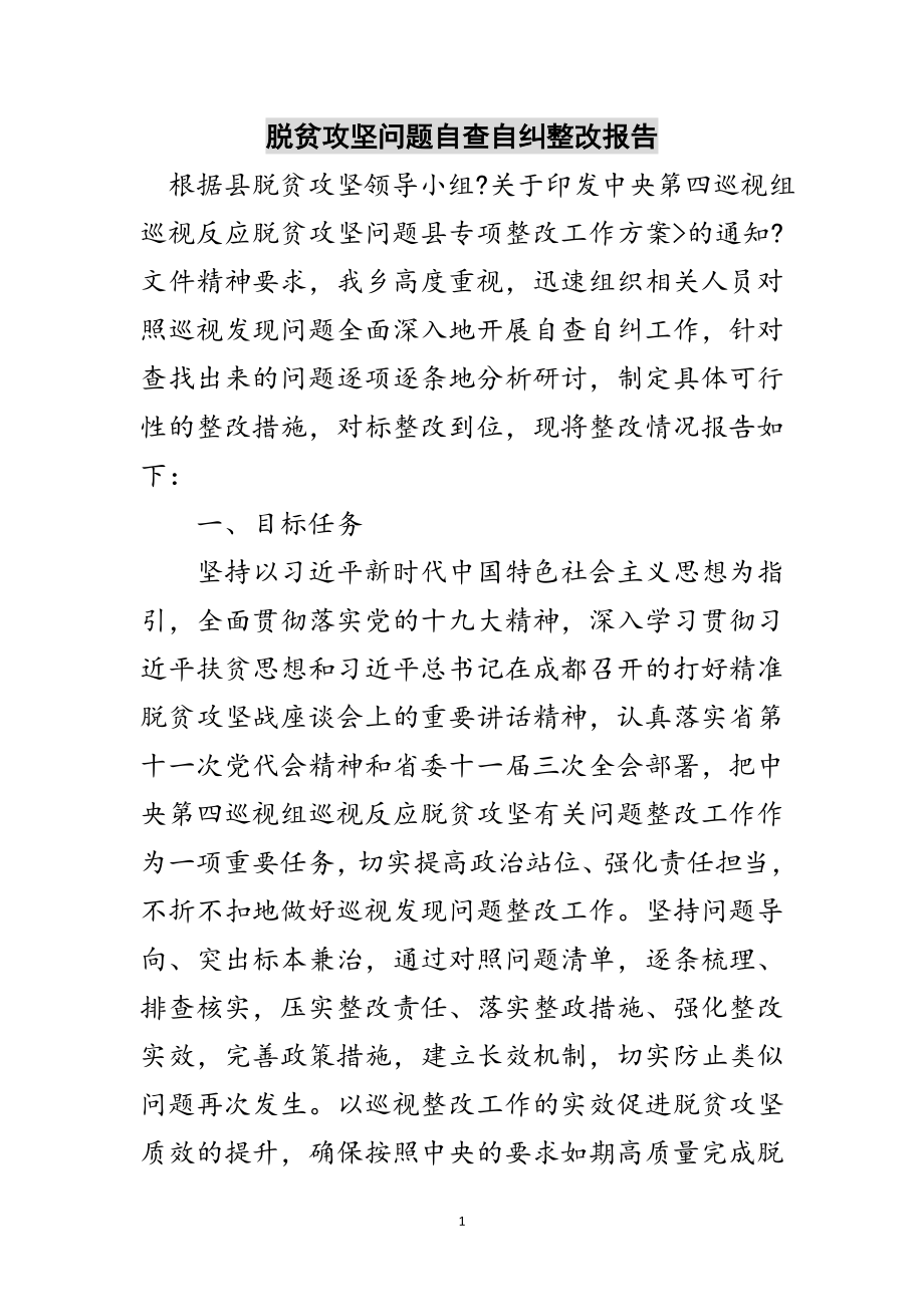 2023年脱贫攻坚问题自查自纠整改报告范文.doc_第1页