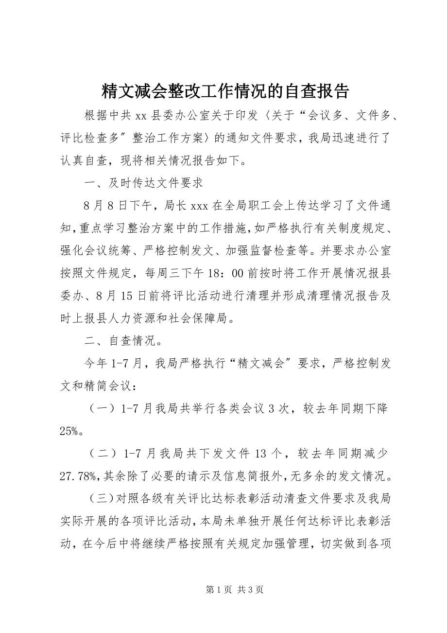 2023年精文减会整改工作情况的自查报告.docx_第1页