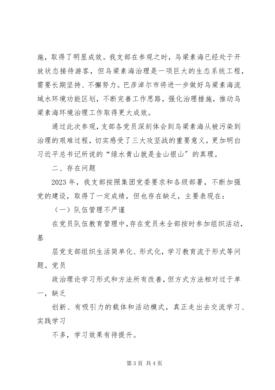 2023年联合党支部党建工作述职报告.docx_第3页