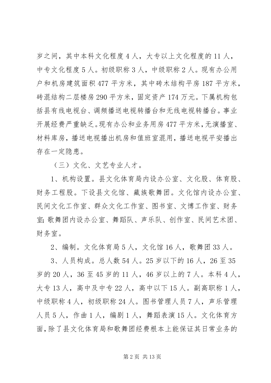 2023年县委关于思想文化宣传建设工作的调研报告.docx_第2页