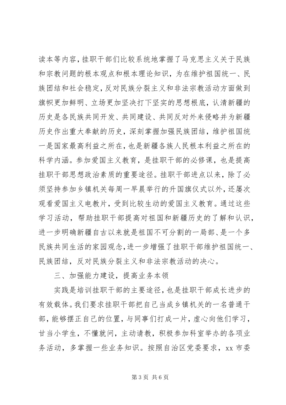 2023年挂职干部教育培训报告.docx_第3页