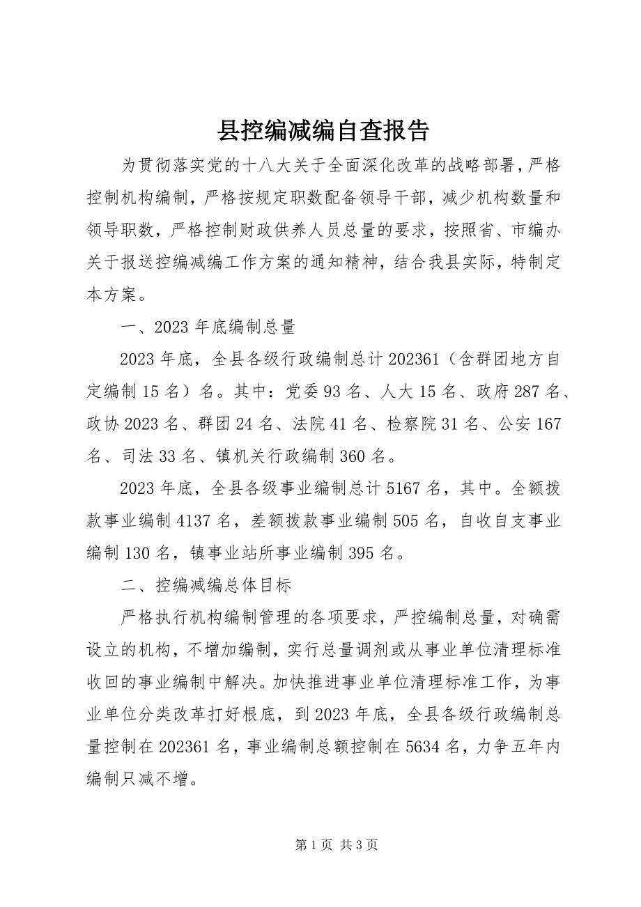 2023年县控编减编自查报告.docx_第1页