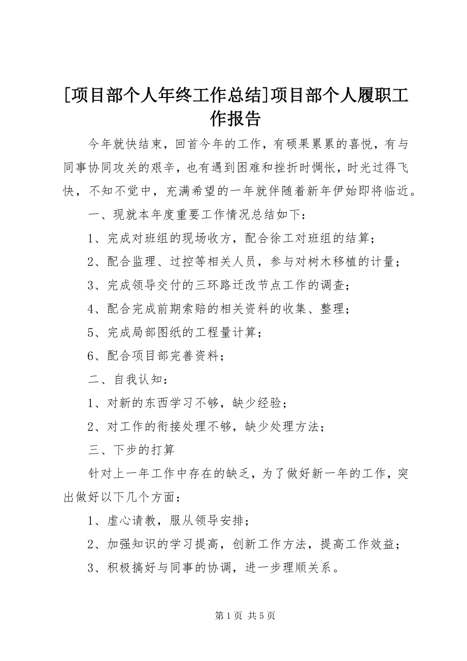 2023年项目部个人年终工作总结项目部个人履职工作报告.docx_第1页