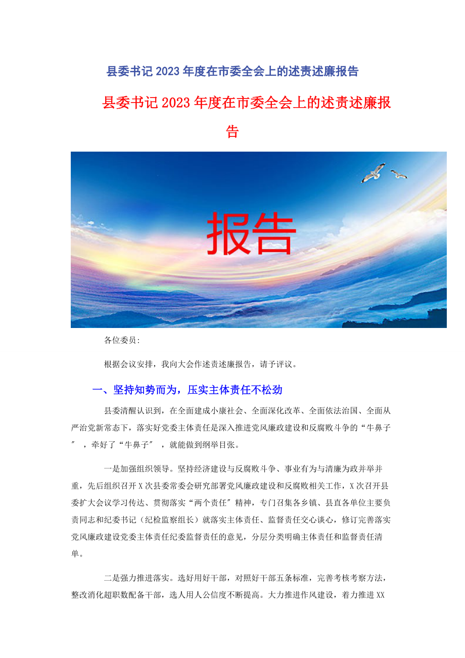 2023年县委书记度在市委全会上的述责述廉报告.docx_第1页