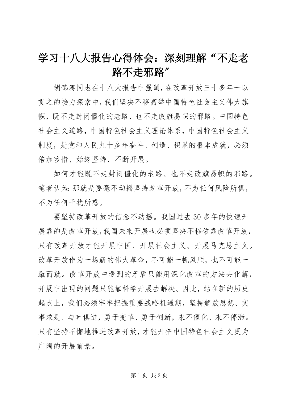 2023年学习十八大报告心得体会深刻理解“不走老路不走邪路”.docx_第1页