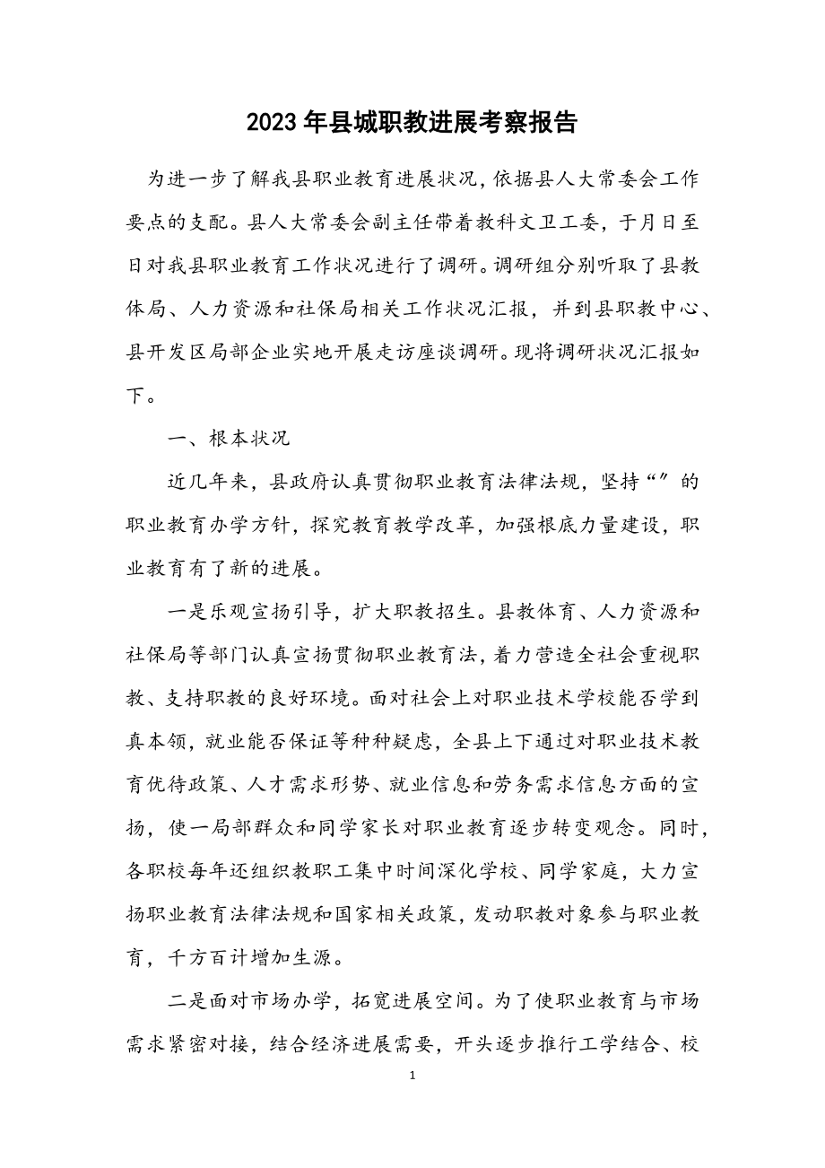 2023年县城职教发展考察报告.docx_第1页