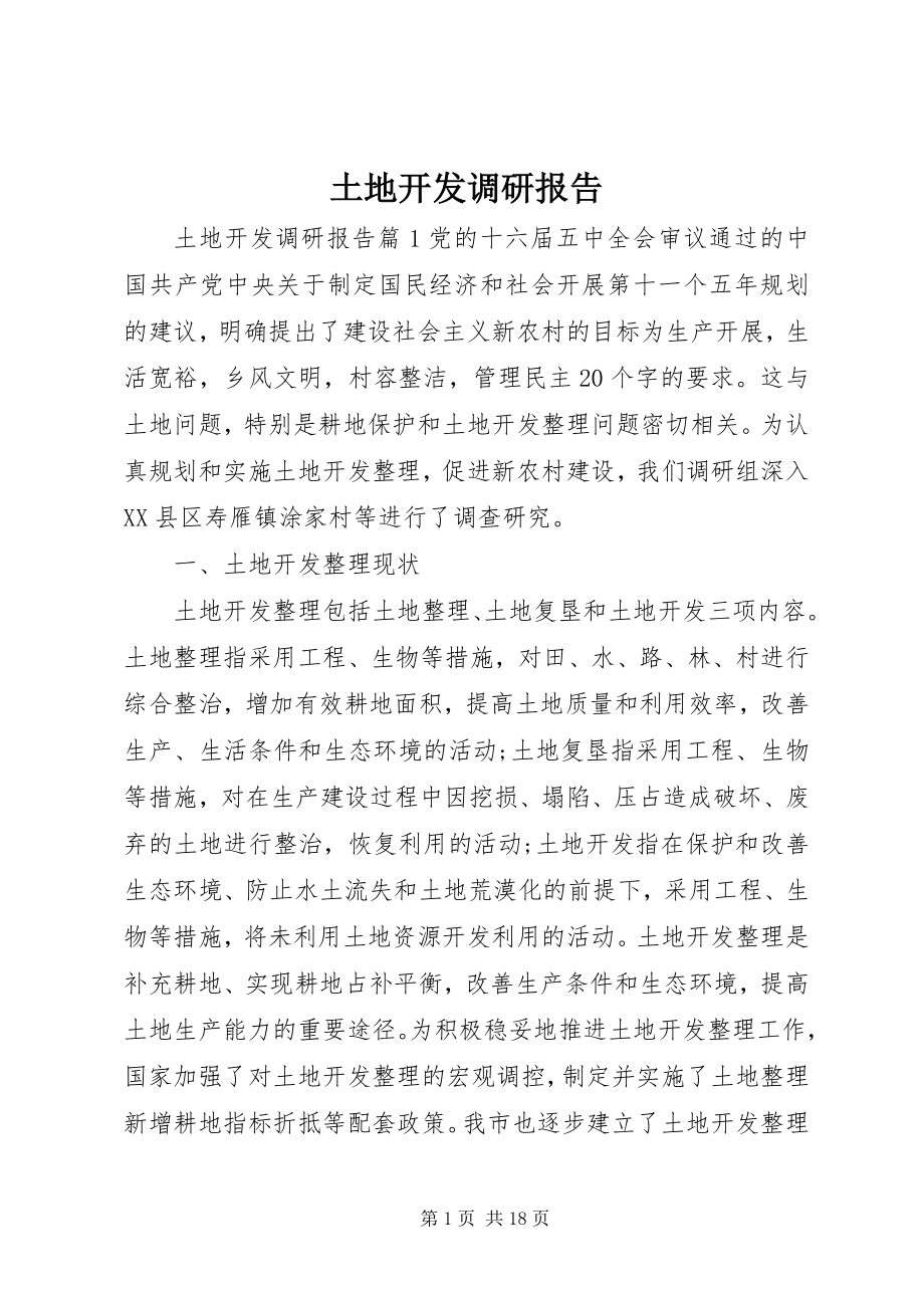 2023年土地开发调研报告.docx_第1页