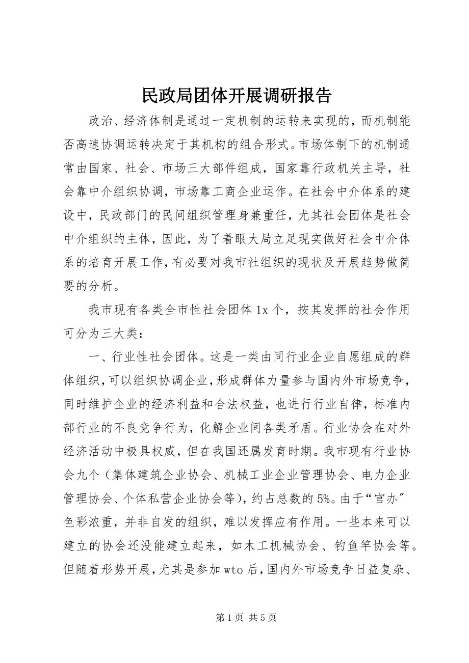 2023年民政局团体发展调研报告.docx_第1页