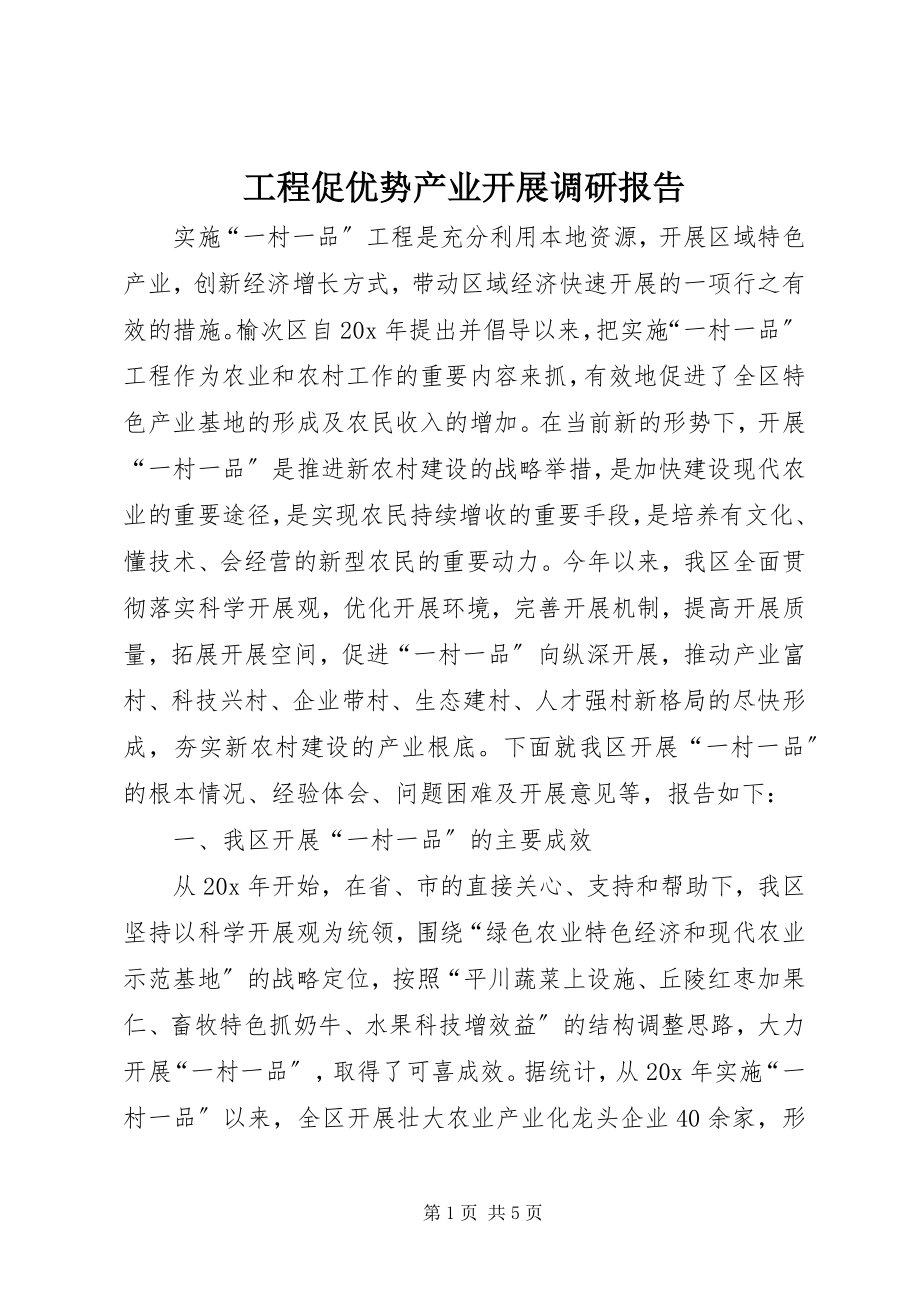 2023年工程促优势产业发展调研报告.docx_第1页