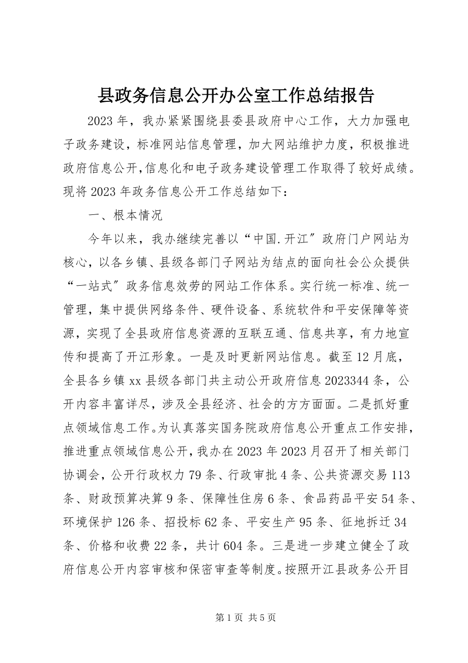 2023年县政务信息公开办公室工作总结报告.docx_第1页