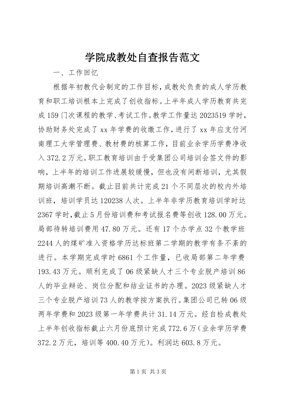 2023年学院成教处自查报告.docx_第1页