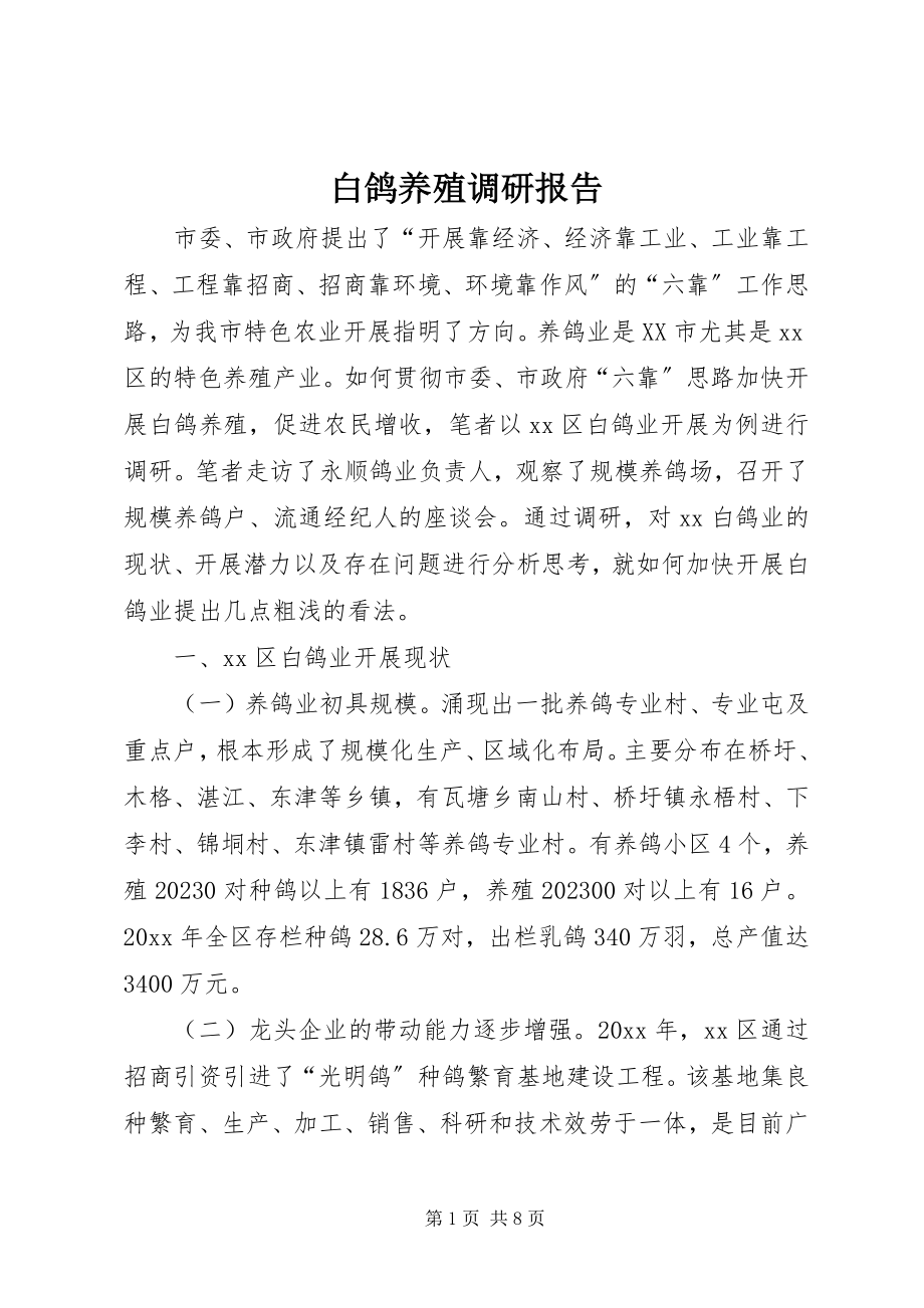 2023年白鸽养殖调研报告.docx_第1页