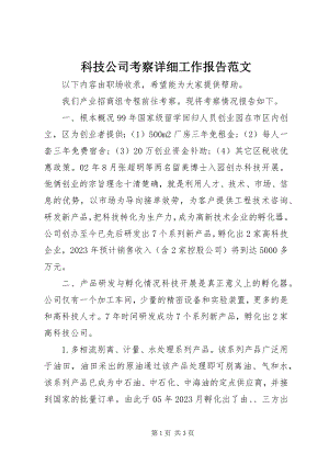 2023年科技公司考察详细工作报告.docx