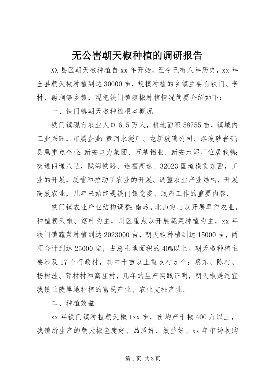 2023年无公害朝天椒种植的调研报告.docx_第1页