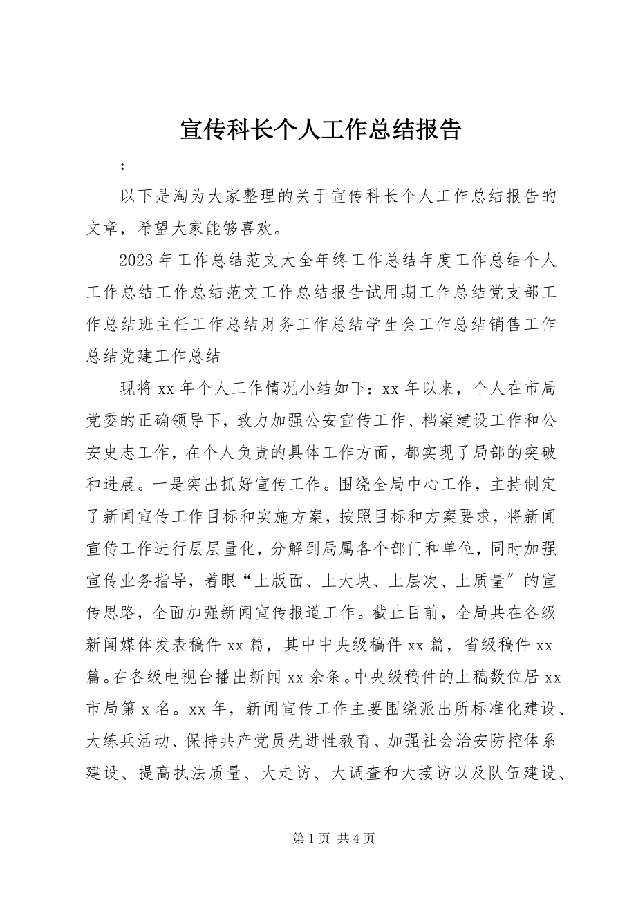 2023年宣传科长个人工作总结报告.docx_第1页