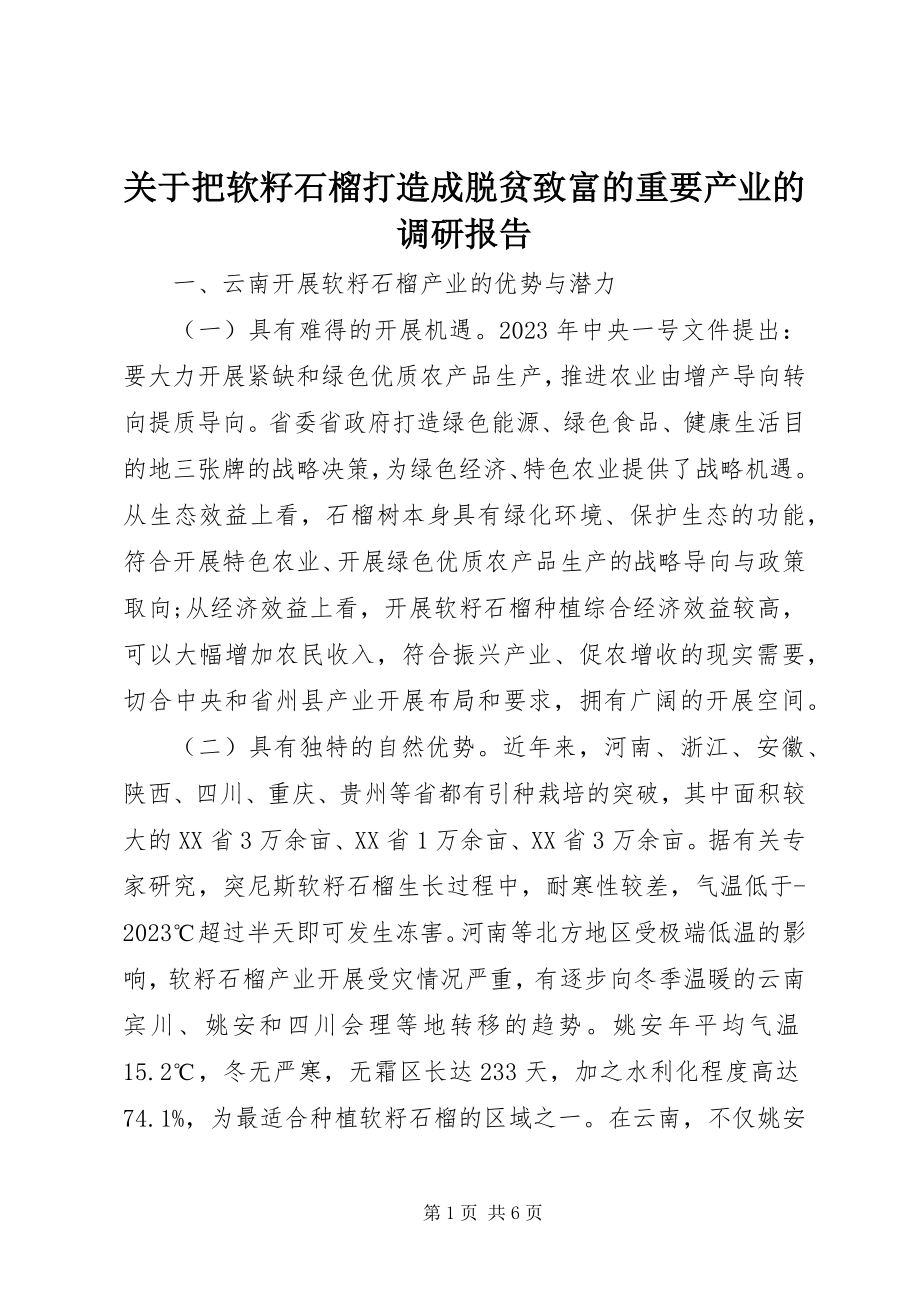 2023年把软籽石榴打造成脱贫致富的重要产业的调研报告.docx_第1页