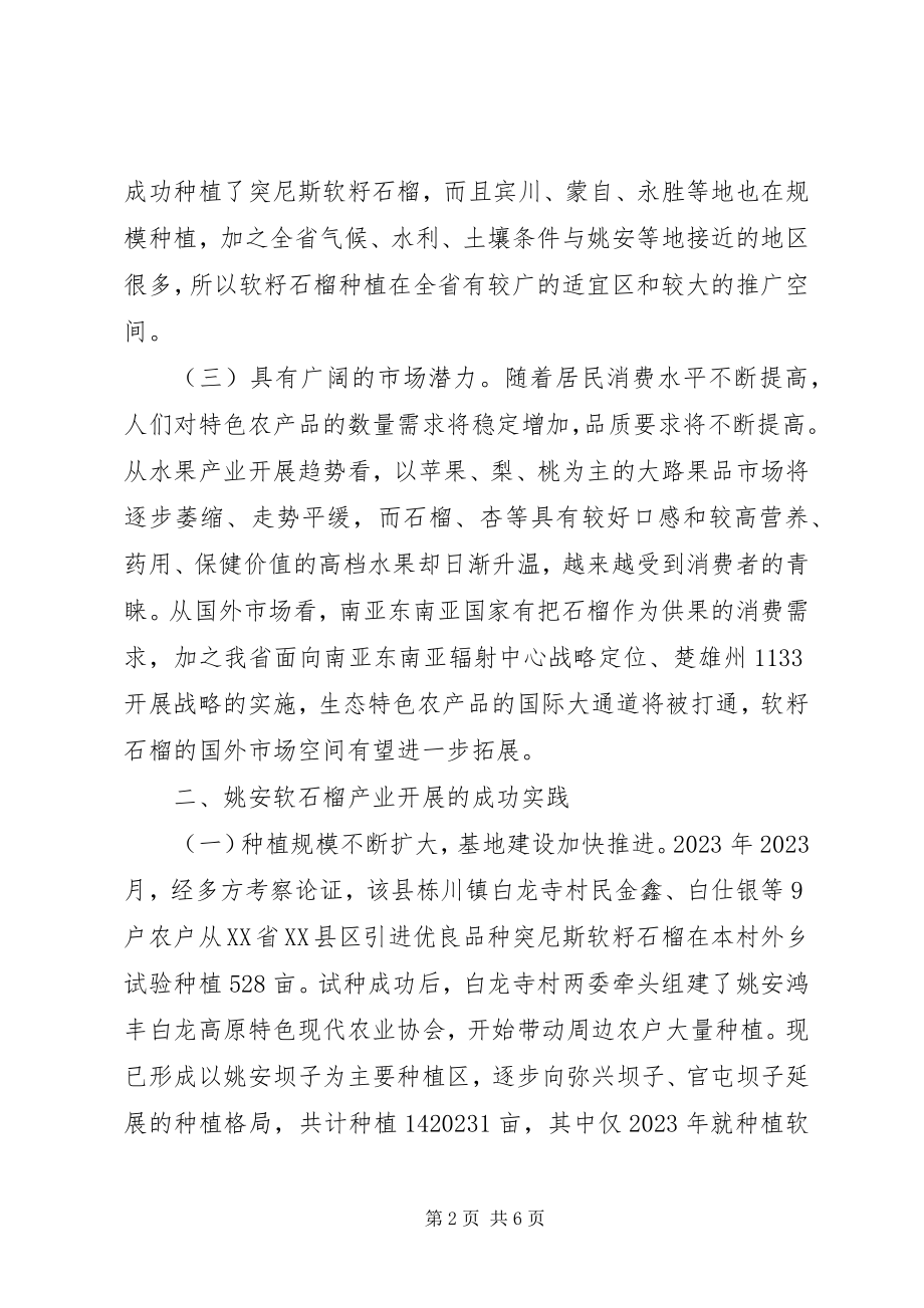 2023年把软籽石榴打造成脱贫致富的重要产业的调研报告.docx_第2页