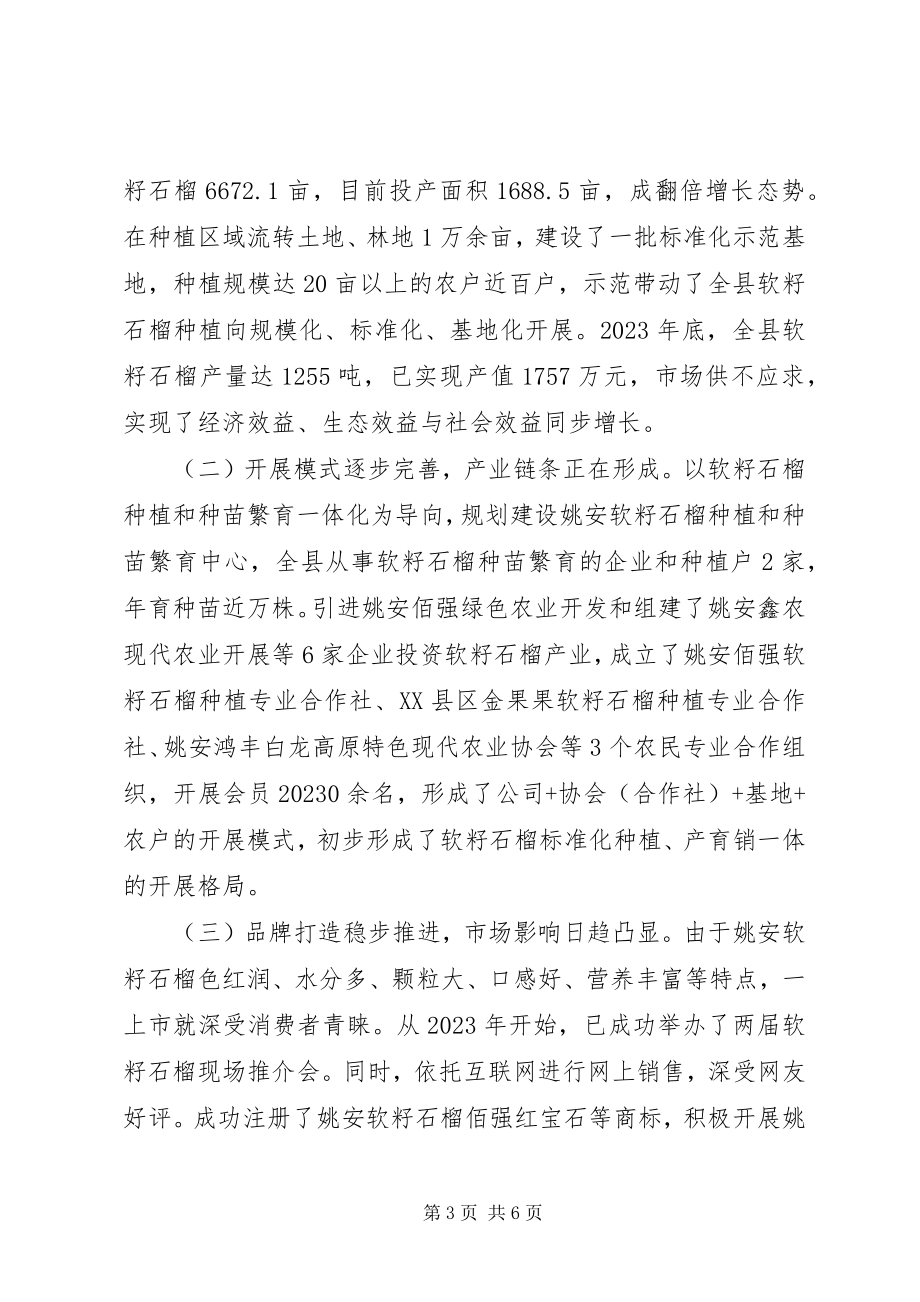 2023年把软籽石榴打造成脱贫致富的重要产业的调研报告.docx_第3页