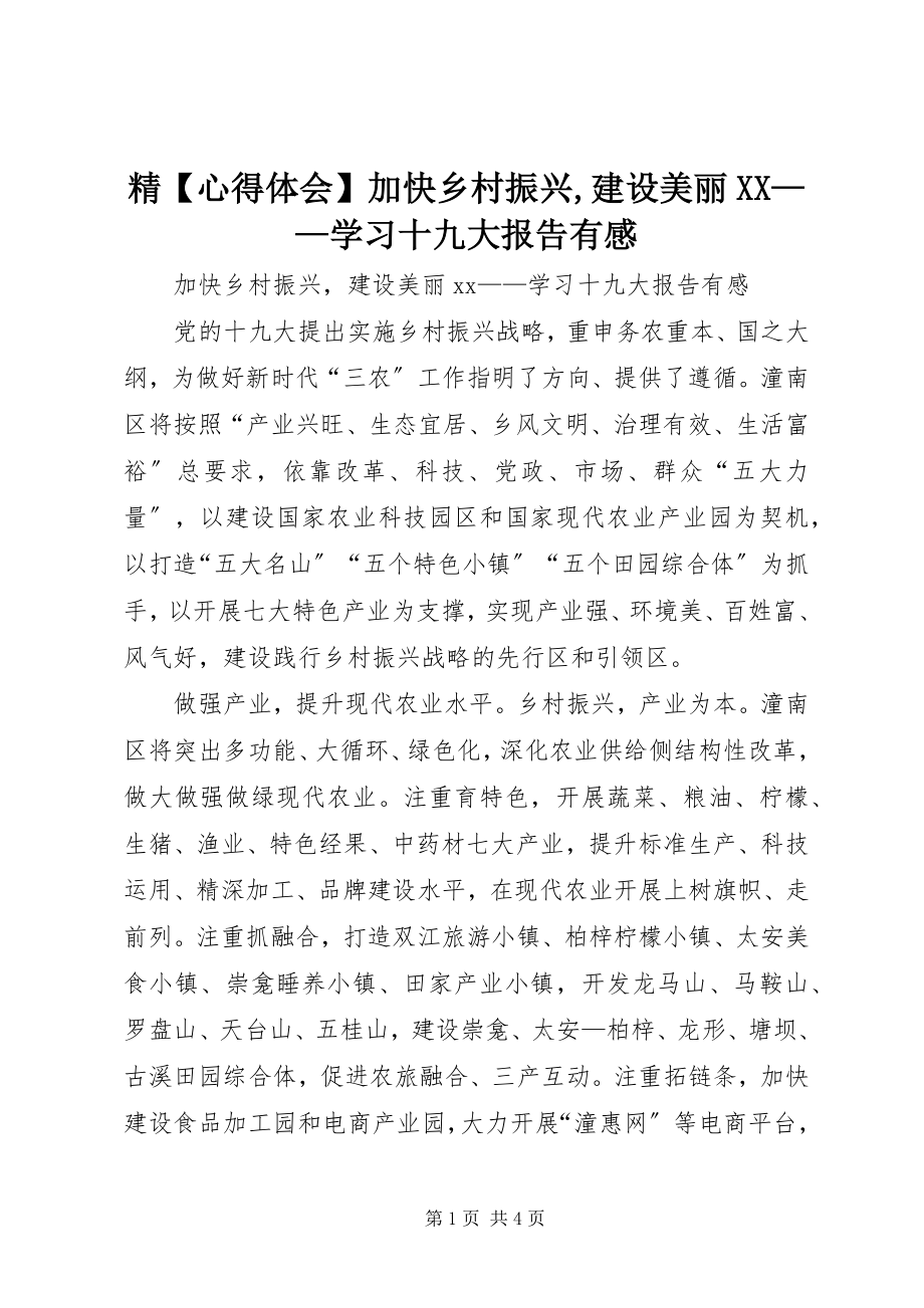 2023年精【心得体会】加快乡村振兴建设美丽XX学习十九大报告有感.docx_第1页