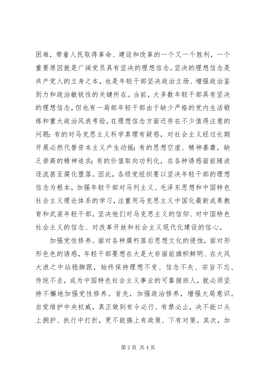 2023年增强年轻干部工作调研报告.docx_第2页