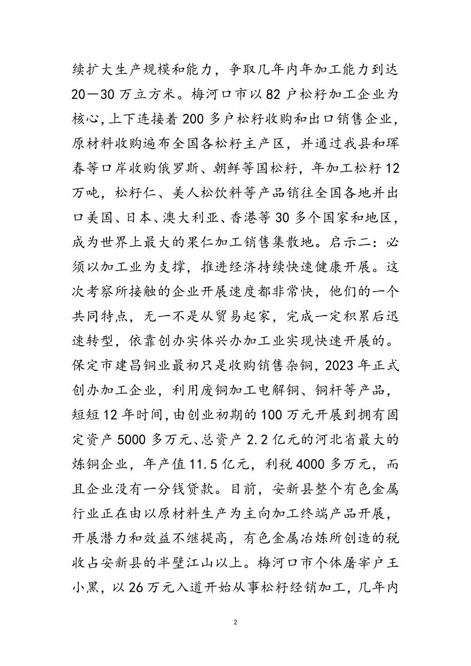 2023年县工业经济发展考察报告范文.doc_第2页