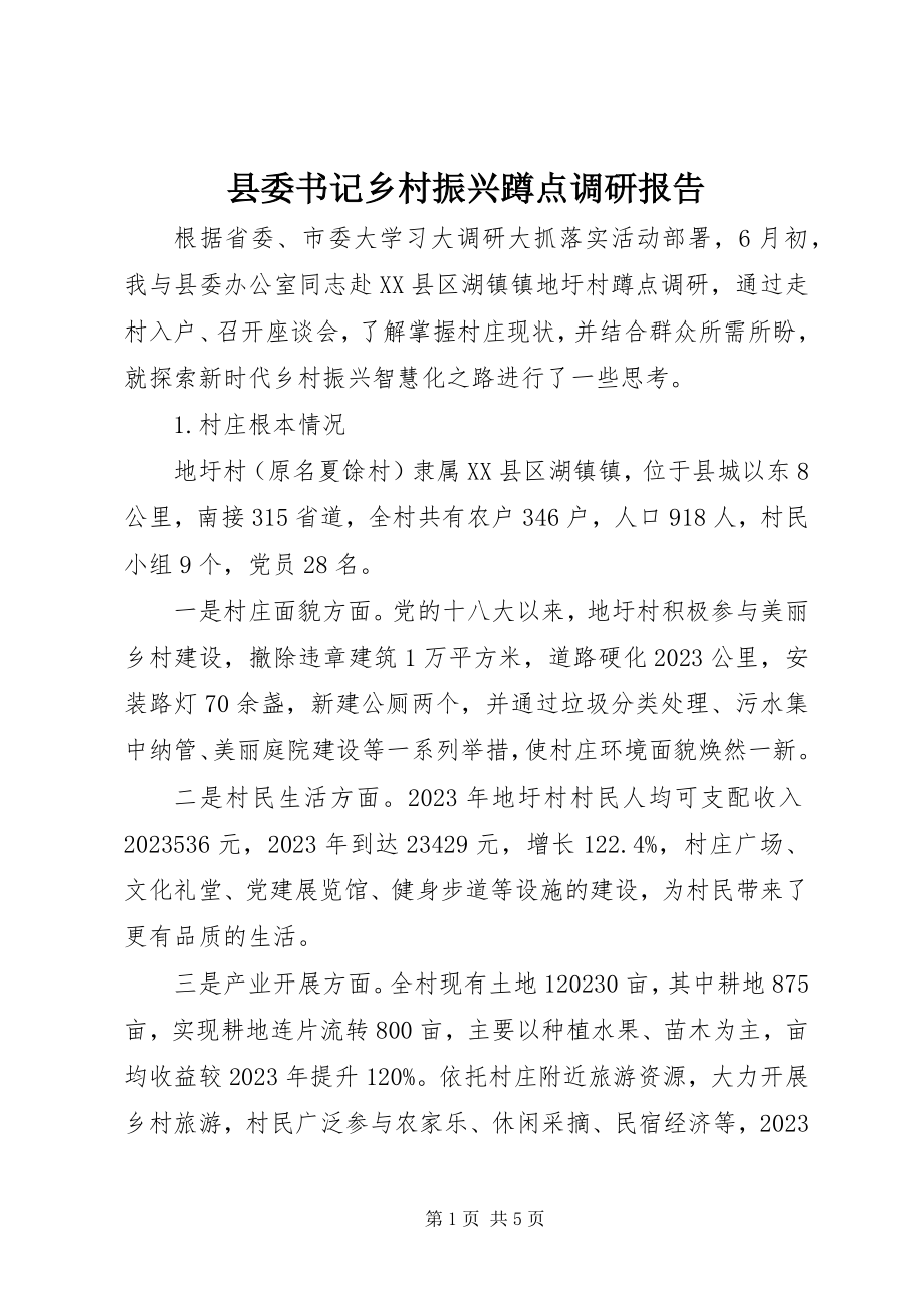 2023年县委书记乡村振兴蹲点调研报告.docx_第1页