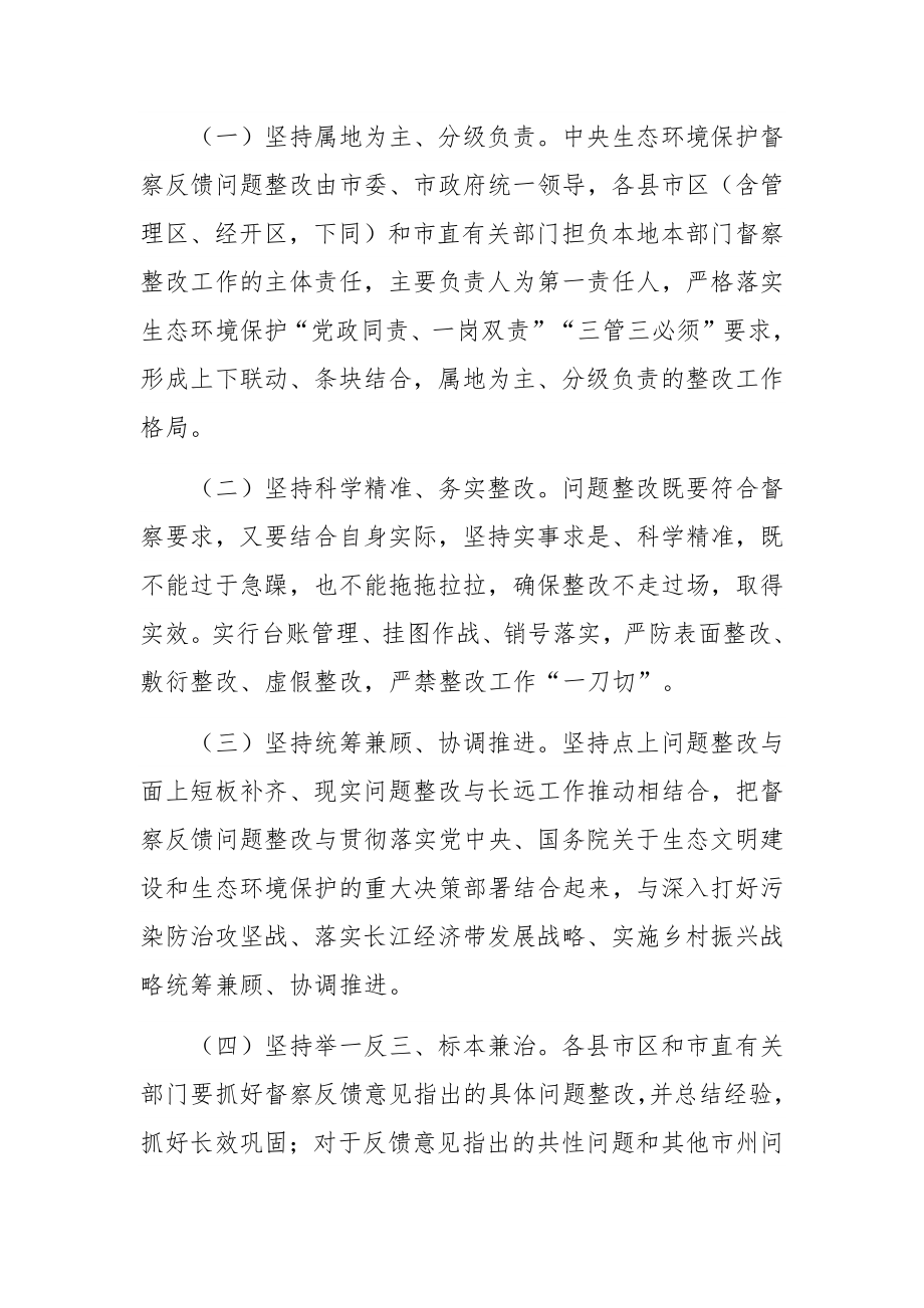 XX市贯彻落实第二轮中央生态环境保护督察报告整改方案.docx_第2页