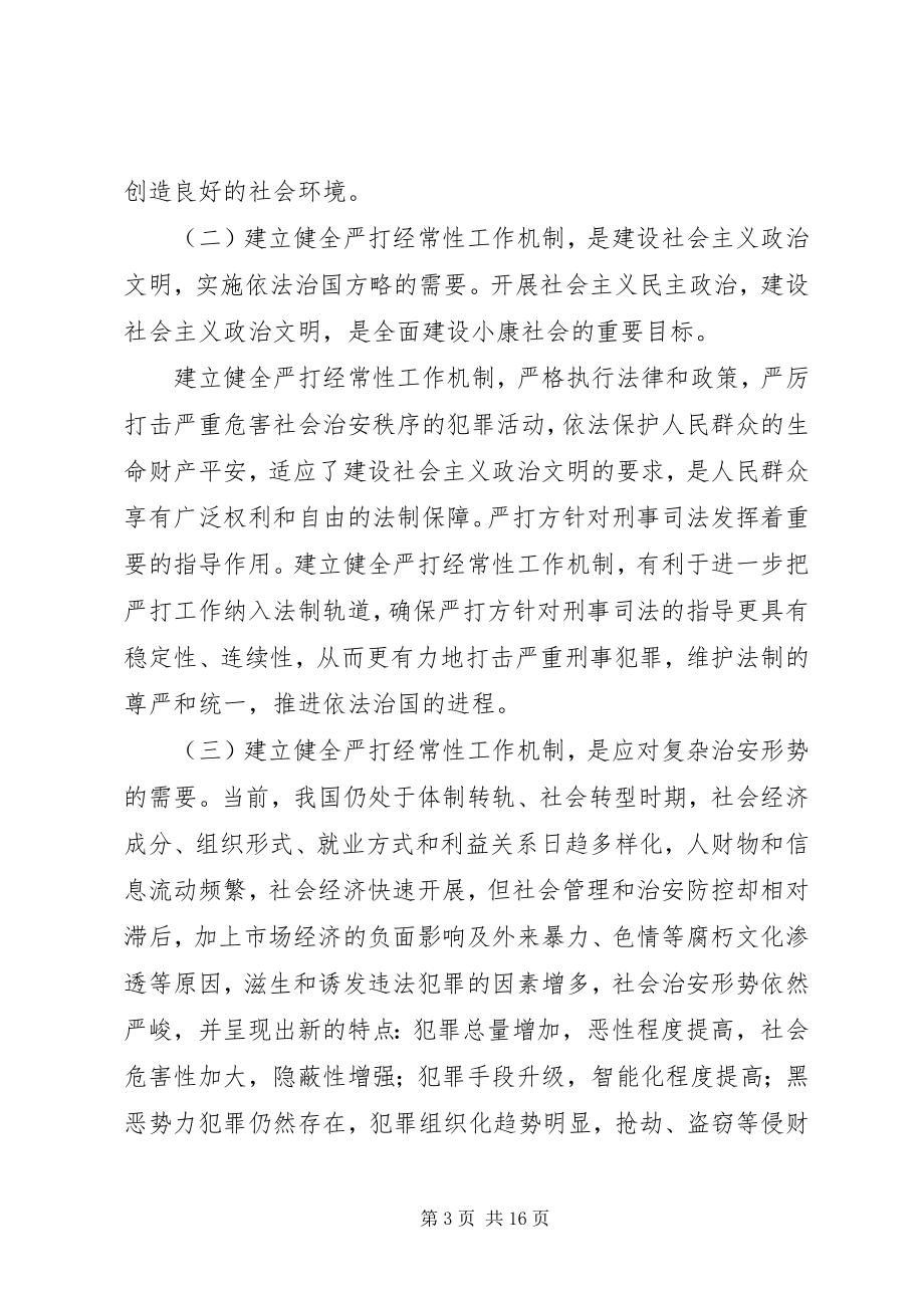 2023年建立健全严打经常性工作机制的综合调研报告.docx_第3页