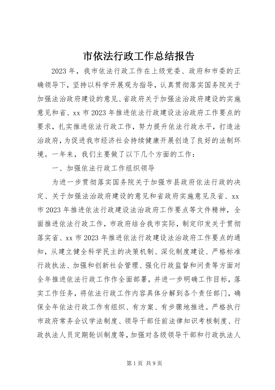 2023年市依法行政工作总结报告.docx_第1页