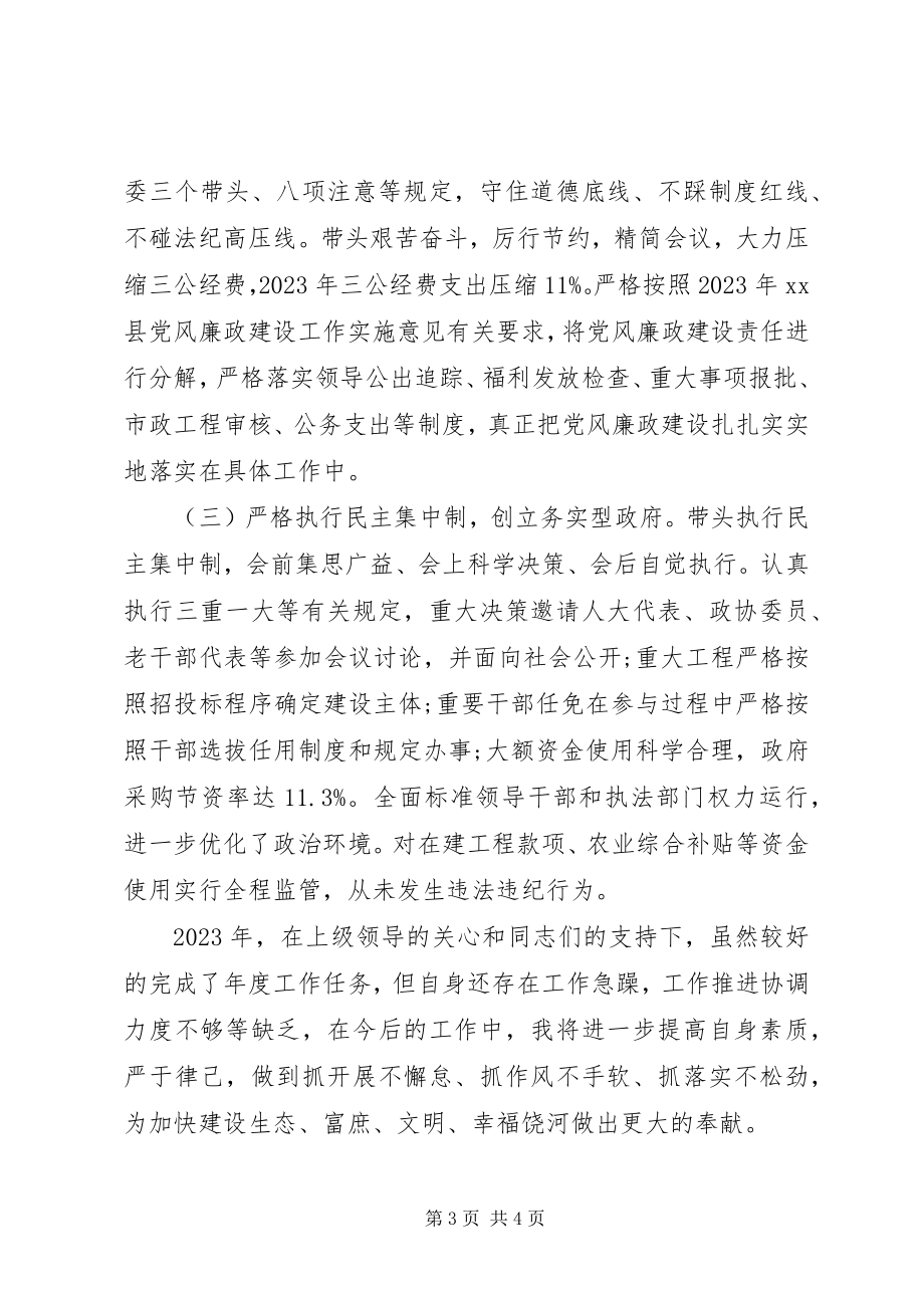 2023年县委副书记严以修身政府县长述职述廉报告.docx_第3页