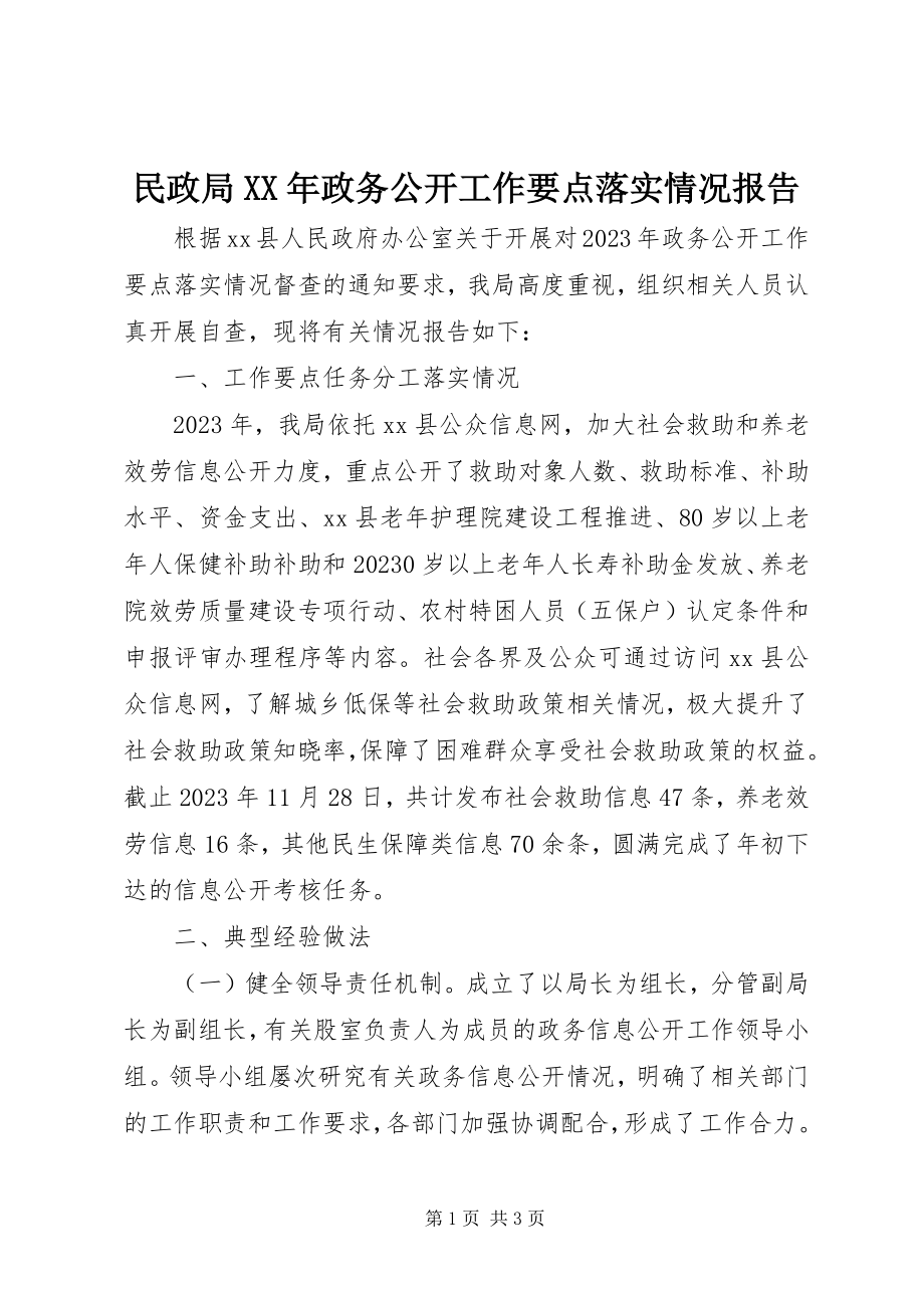 2023年民政局政务公开工作要点落实情况报告.docx_第1页