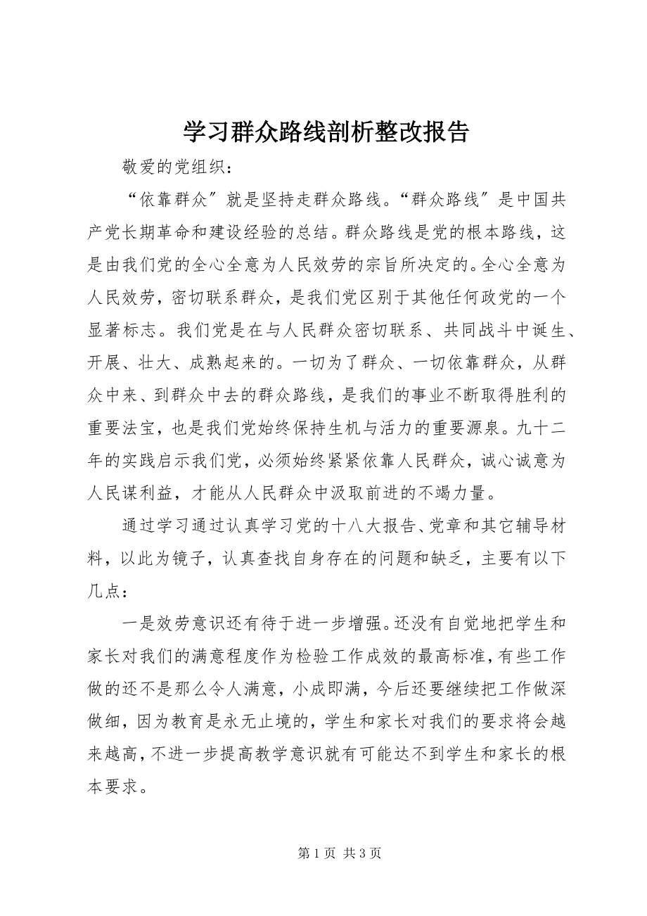 2023年学习群众路线剖析整改报告.docx_第1页