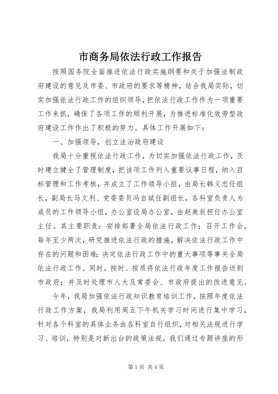 2023年市商务局依法行政工作报告.docx_第1页