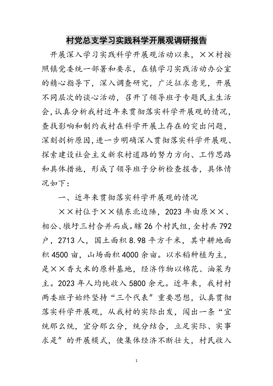 2023年村党总支学习实践科学发展观调研报告范文.doc_第1页