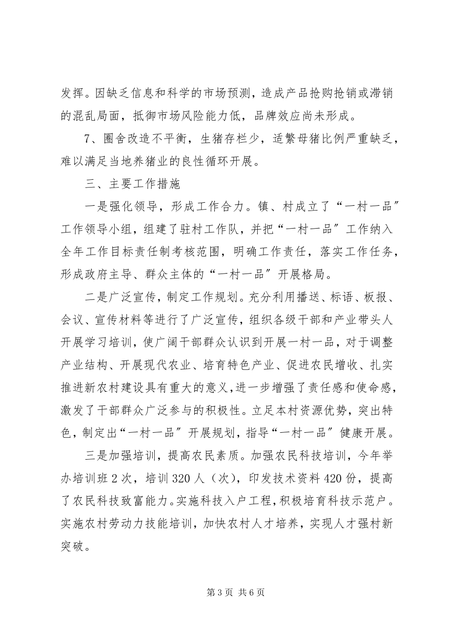 2023年小厂乡大厂村产业发展调研报告.docx_第3页