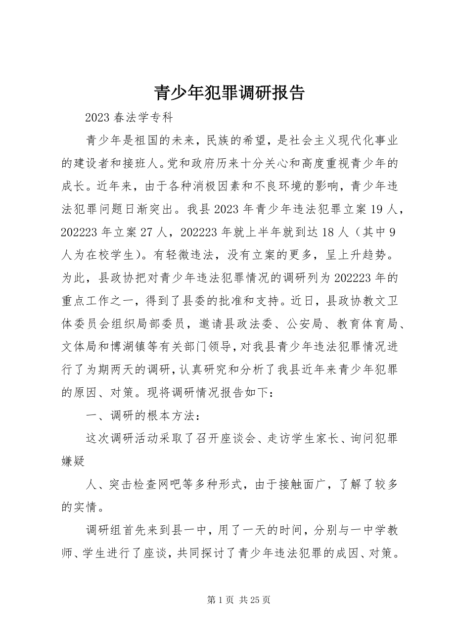 2023年青少年犯罪调研报告.docx_第1页