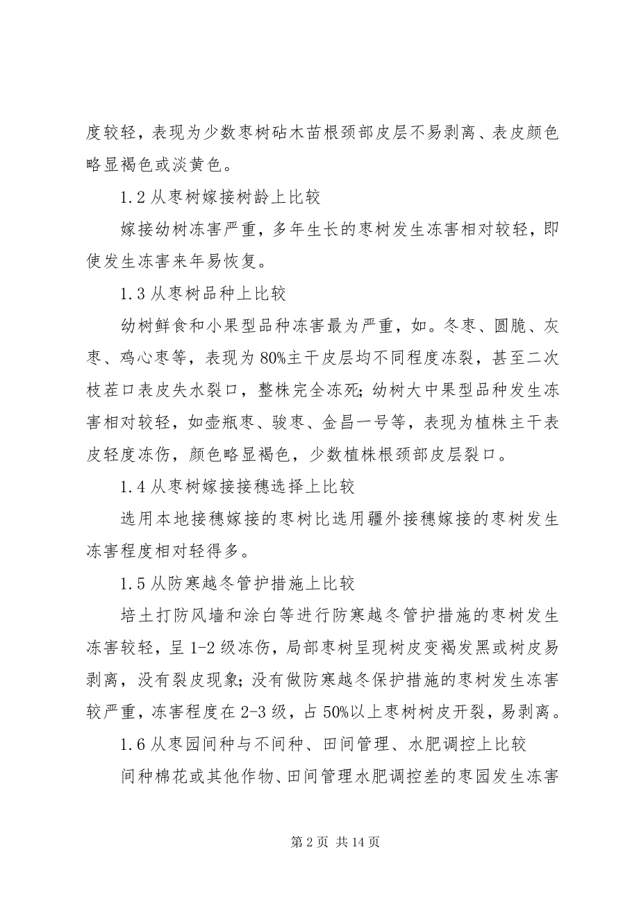 2023年枣树冻害调查分析及预防补救措施.docx_第2页