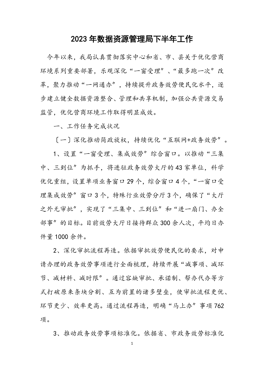 2023年数据资源管理局下半年工作计划.docx_第1页