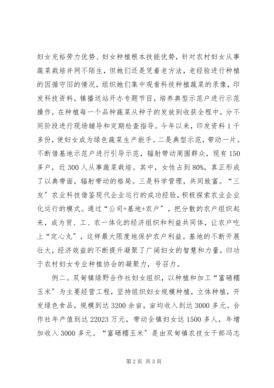 2023年县妇联党建创新工作交流汇报材料.docx_第2页