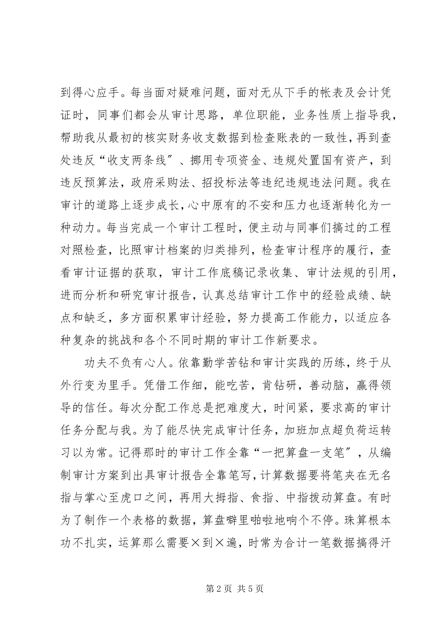 2023年审计系统爱岗敬业征文讲话稿.docx_第2页