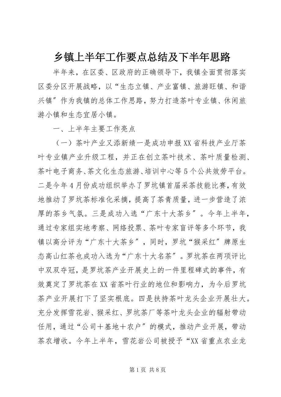 2023年乡镇上半年工作要点总结及下半年思路.docx_第1页