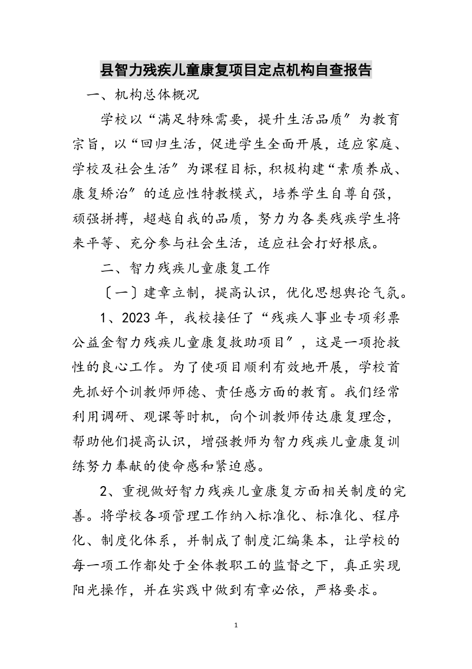 2023年县智力残疾儿童康复项目定点机构自查报告范文.doc_第1页