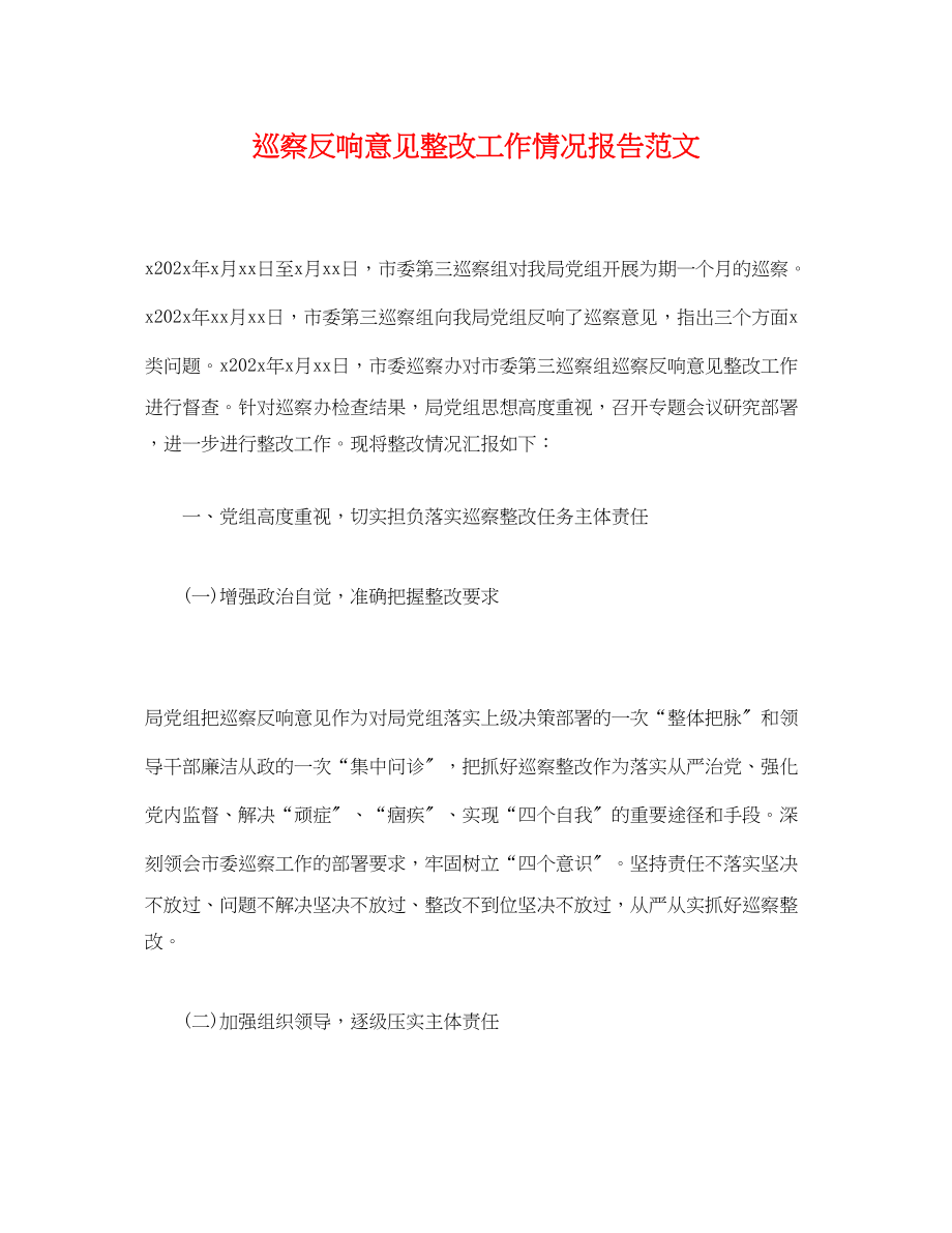 2023年巡察反馈意见整改工作情况报告.docx_第1页