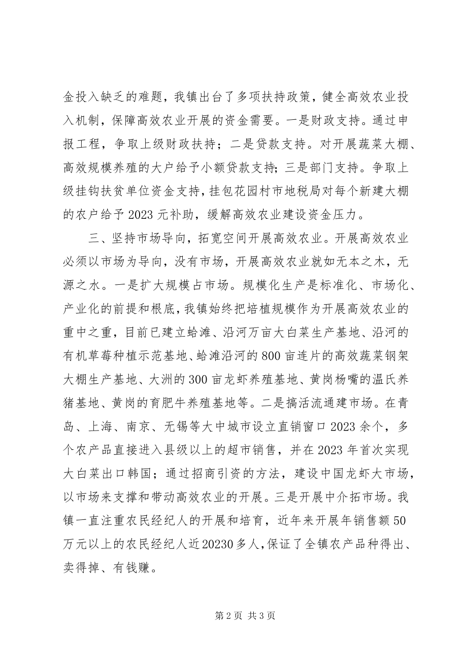 2023年乡镇发展高效农业促进农民增收经验交流讲话材料.docx_第2页