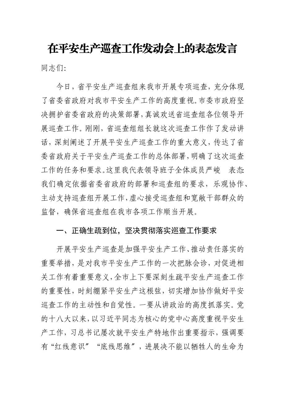 2023年在安全生产巡查工作动员会上的表态发言2.docx_第1页