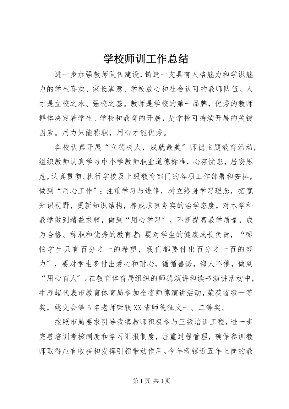 2023年学校师训工作总结.docx_第1页