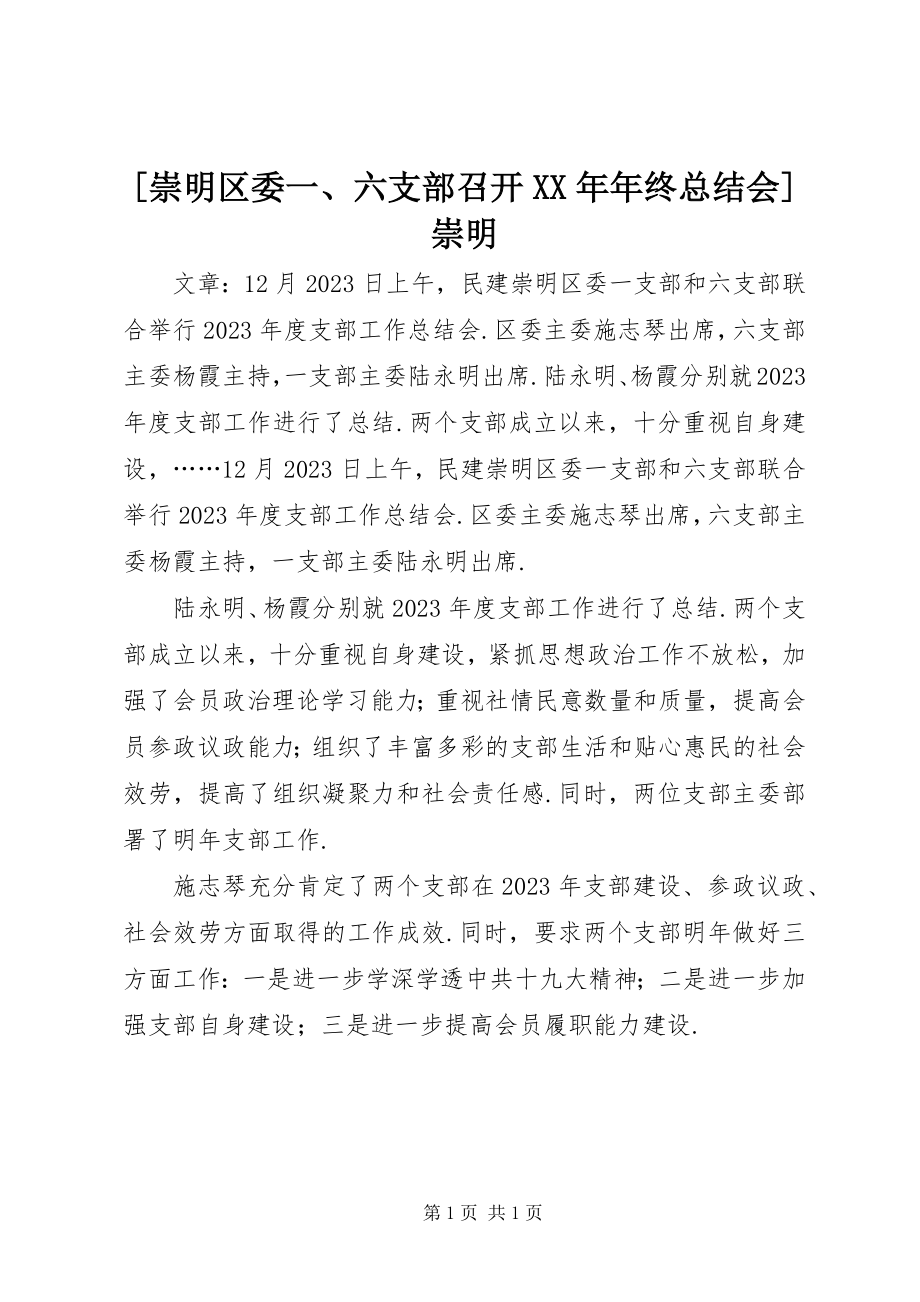 2023年崇明区委一六支部召开年终总结会崇明新编.docx_第1页